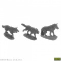 Dungeon Dwellers&nbsp;: Wolf Pack (3)