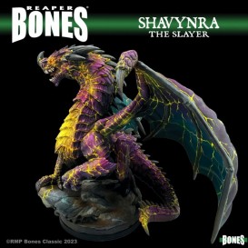 Dungeon Dwellers&nbsp;: Shavynra the Slayer, Huge Dragon