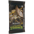 MTG : Secrets Strixhaven Collector Booster FR