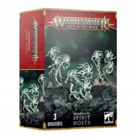 Nighthaunt: Nuées D'esprits (Spirit Hosts)