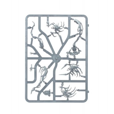 Nighthaunt: Nuées D'espirits