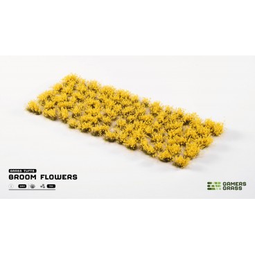 Grass Tufts : Broom Flowers