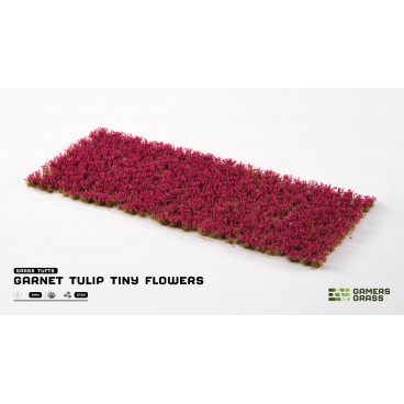 Grass Tufts : Garnet Tulip Tiny Flowers