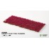 Grass Tufts : Garnet Tulip Tiny Flowers