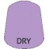 Dry Lucius Lilac