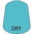 Dry Skink Blue