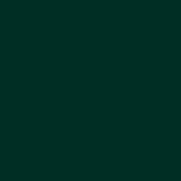 Games&nbsp;: Extra Opaque Vert Noir