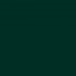 Games&nbsp;: Extra Opaque Vert Noir