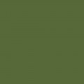 Games&nbsp;: Extra Opaque Vert
