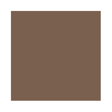 Primer&nbsp;: Base Cuir Brun