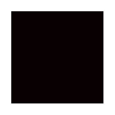 Primer&nbsp;: Base Noire