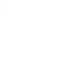 Primer&nbsp;: Base Blanche