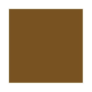 Games Air&nbsp;: Cuir Marron