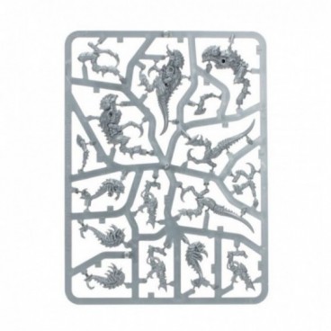 Tyranid Paint Set+ Ger/Fre/Ita/Dut/Cz/Sv