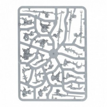 Éophores: Vils du Fielobscur – Les Chouraveurs de Braggit