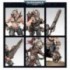 Patrouille: World Eaters
