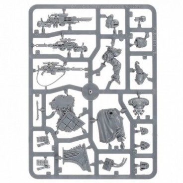 Space Marines: Eliminators Primaris