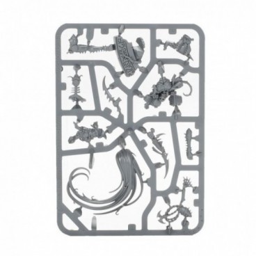 Drukhari Lelith Hesperax