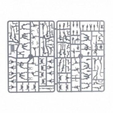 Drukhari: Guerriers Cabalites (Kabalite Warriors)